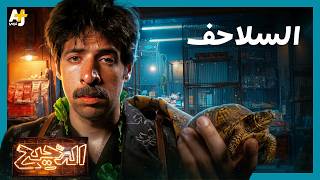 الدحيح | كيف نجت السلاحف من الكوارث الطبيعية؟ screenshot 3