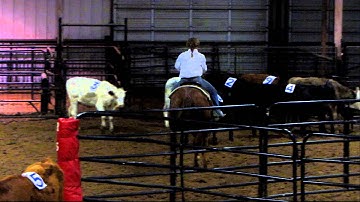 Little Indian Pep - Indy - sorting 3 - Valley View Ranch