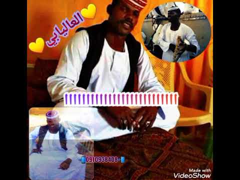 المبدع سيف الدين ادريس زينه رزينه