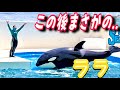感動のラストにララが..  鴨川シーワールド シャチ You Raise Me Up