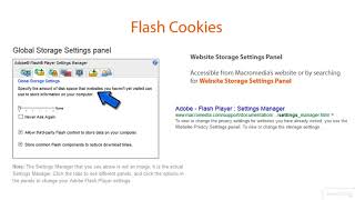 064  Flash Cookies