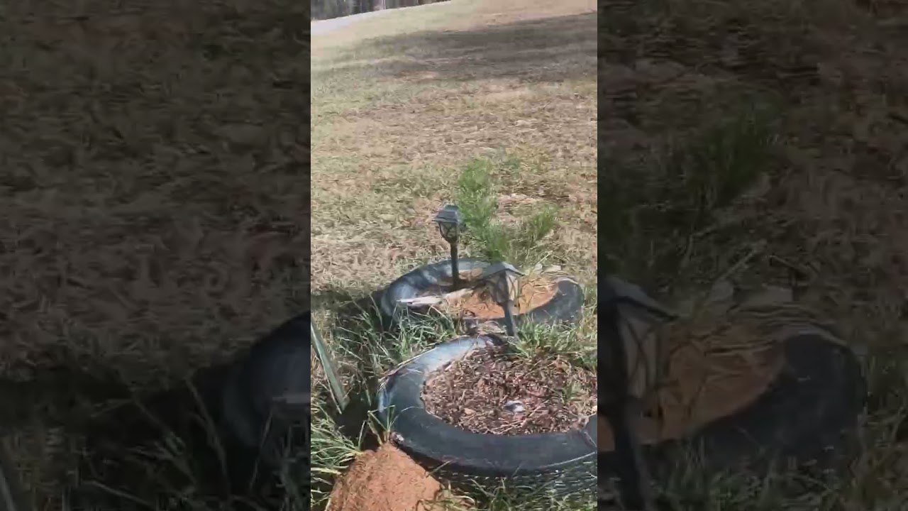 Birdbaths, off grid shower demo and the purpose of the off grid movement.