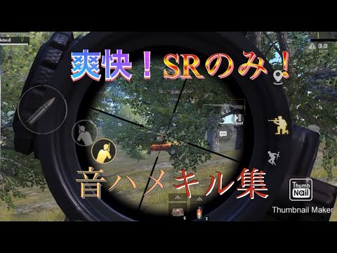 爽快！SR only 音ハメキル集。 Sniper Montage #1