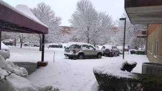 Snowing in Malden. All is quiet.