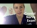ASMR Cranial Nerve Exam Roleplay