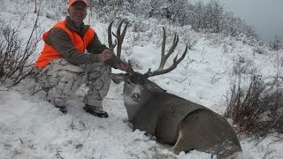 Heavy Hawg Down!!! Yippeee! - Founder's Webcast (MonsterMuleys.com)