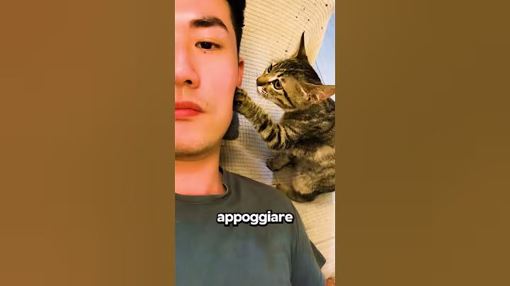 Non Sapeva di Poter Essere Amata Anche Lei...😭💔