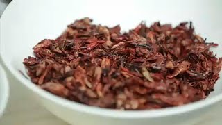 Bugs For Dinner? Ill Have A Side Of Ants With That