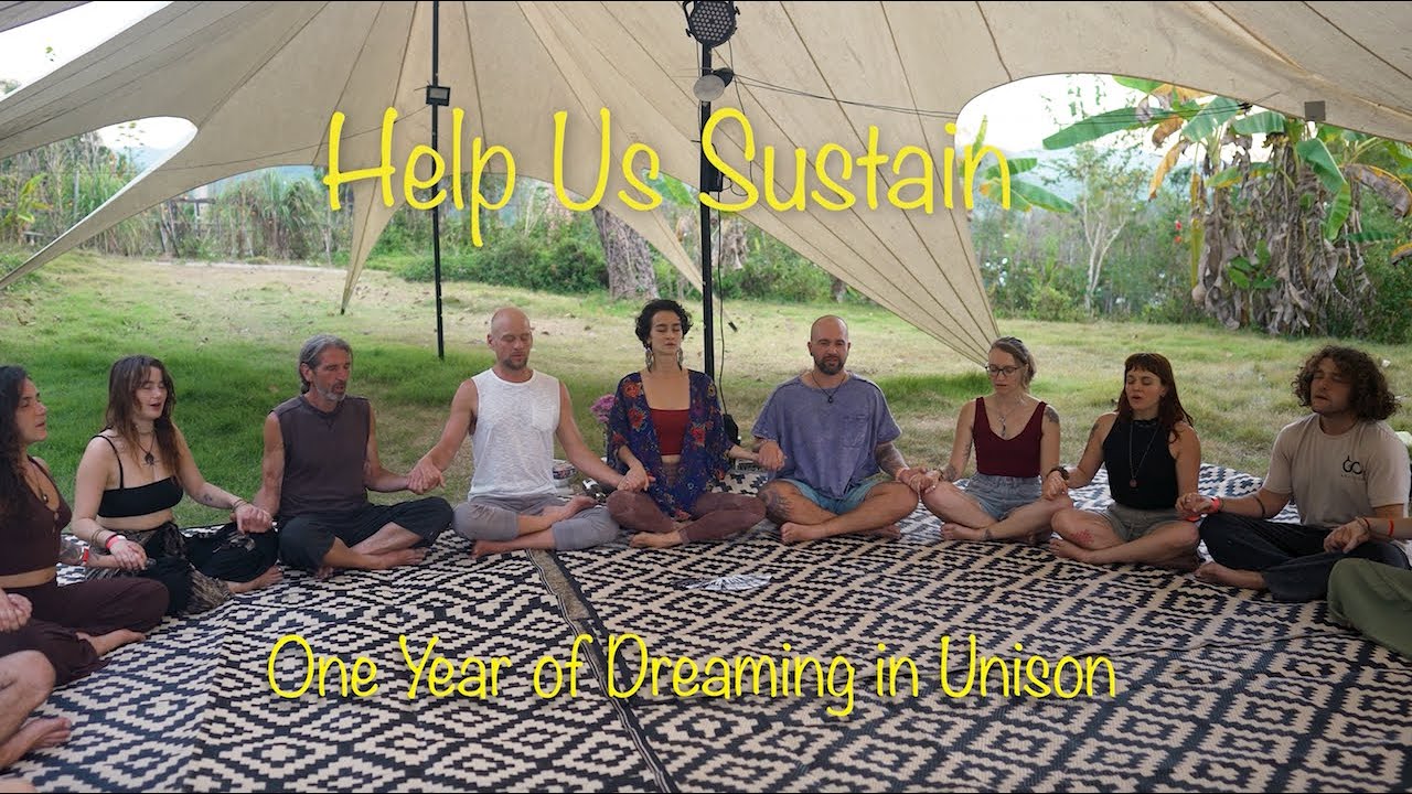 Help Us Sustain One Year of Dreaming in Unison