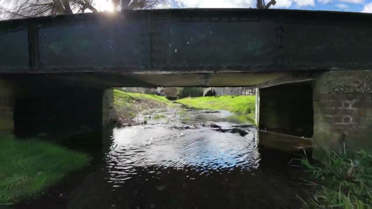 Nailbourne reaches Bridge