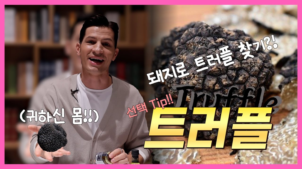트러플 오일 구매! 이번도 또 실패하셨나요!?😥 ㅣ 트러플 제품 살 때 무조건 이걸 참고하세요!