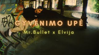 Mr.Bullet x Elvija - GYVENIMO UPĖ (Naujiena)