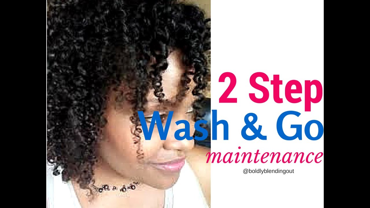Fine Natural Hair 2 Step Wash And Go Maintenance Youtube