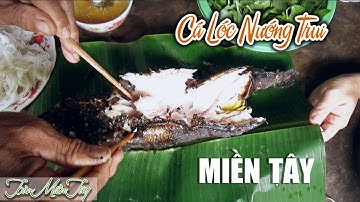 CÁ LÓC NƯỚNG TRUI Bằng Lá Mè - Món Ngon Mùa Lũ | Ký Ức Miền Tây | Toàn Miền Tây