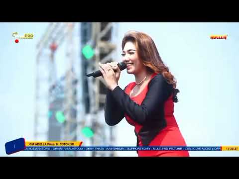 NASIB BUNGA - Intan Afifah Ft Shinin Kendang Dedysta Music LIve Gresik Dhehan Pro Audio