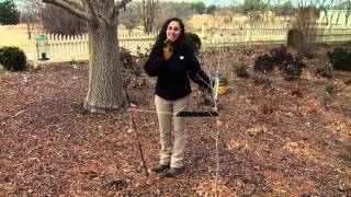 Oklahoma Arbor Week