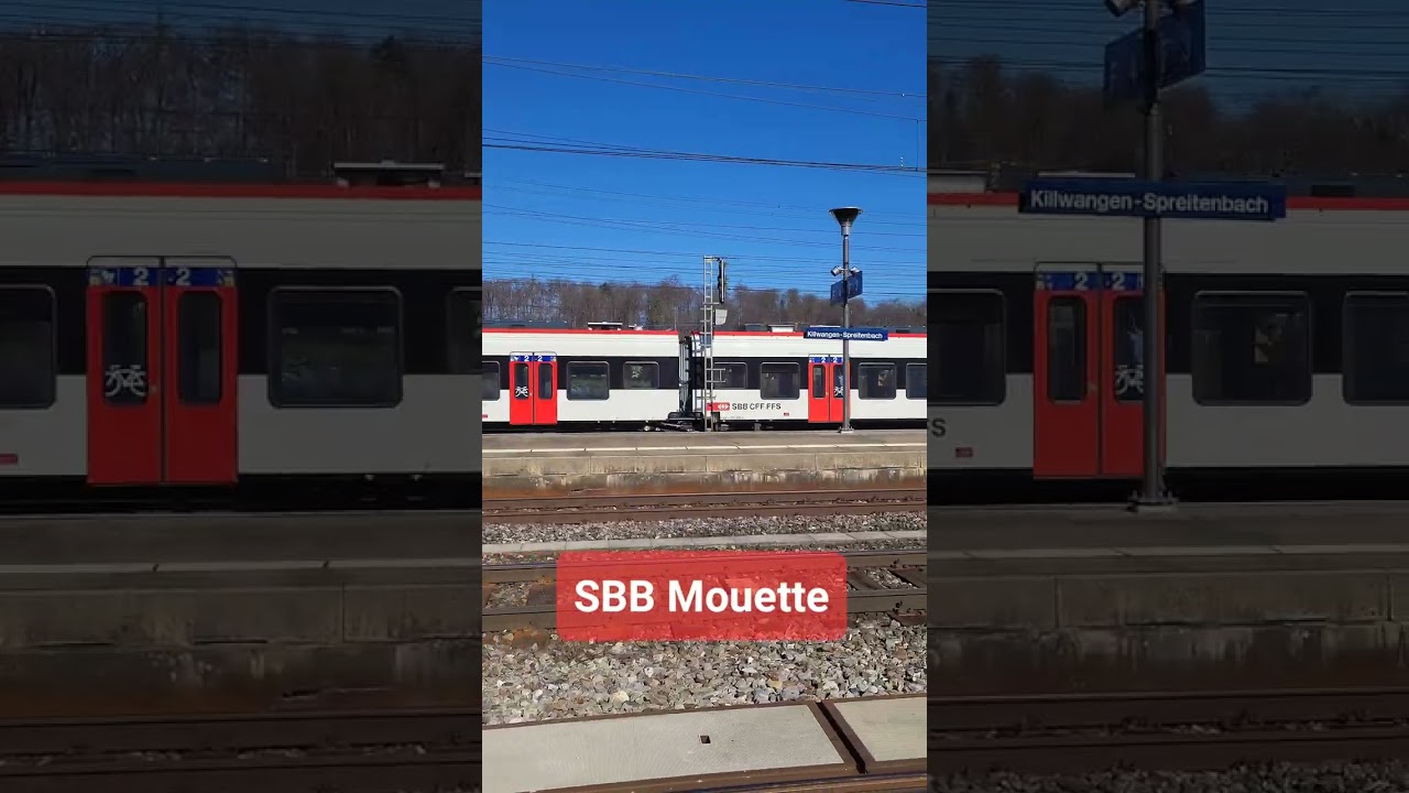 SBB Mouette beim Bahnhof Killwangen-Spreitenbach, Kanton Aargau, Schweiz 2023 / #shorts