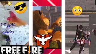 Momentos divertidos en free fire si te ríes pierdes 😎👍🥵😈