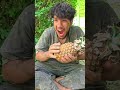 🍍Be kind to each other, God is the provider 🍍👍🥰