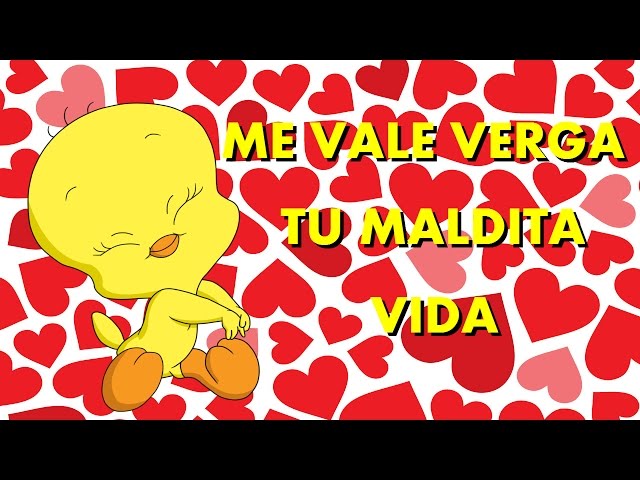 Featured image of post Frases Piolin Grosero Dibujos de piolin piolin imagenes feliz cumplea os rosas versiculos cristianos fotos animadas felicitaciones jesus te ama dios me ama frases piol n