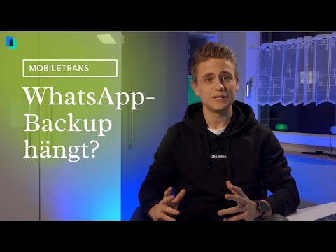 WhatsApp-Backup hängt? So funktioniert’s wieder