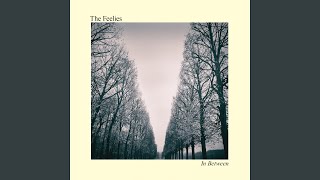 Vignette de la vidéo "The Feelies - In Between (Reprise)"