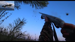 Охота на гусей &quot;Дробь №5&quot;, анализ ранений (goose hunting)