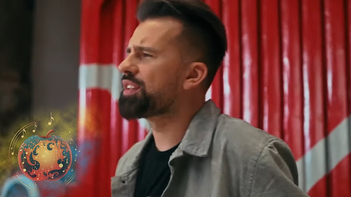 Florin Ristei - Aripile