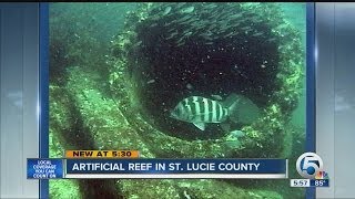 New artificial reef off St. Lucie County made from old FPL power poles
