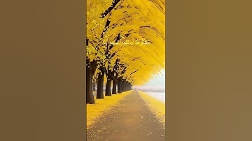وتحسبونه هينا وهو عند الله عظيم #سورة النور #القرآن الكريم #جوهرة القرآن