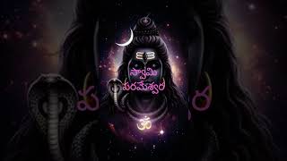 ప్రేమను చూపే భోళా శంకరుడు #ytshorts #shorts#viral# FYP#short feeds # trending