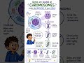 What Is A Gene?