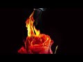 中森明菜 fire starter