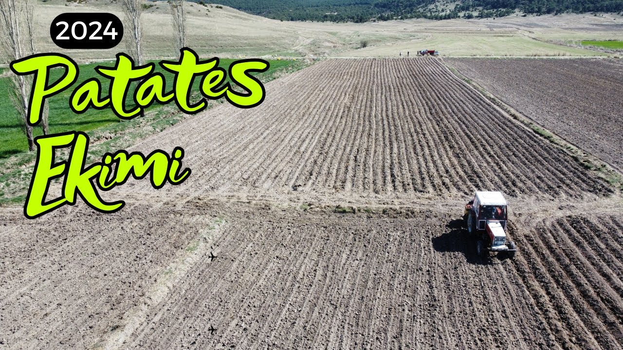 2024 PATATES EKİMİ~KÖK GÜBRESİ ve YER HAZIRLIĞI