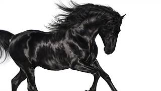 Old Town Road- Lil Nas X ft. Billy Ray Cyrus Remix chords