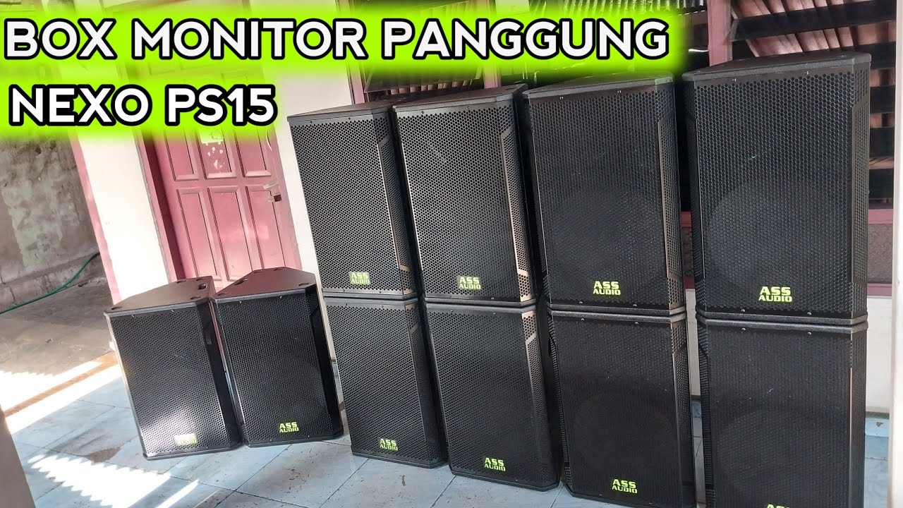 Акустическая система-монитор PANGGUNG 15 дюймов
