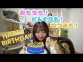 おもち＆どんぐり＆遅れてなつみもハッピーバースデー！雑談配信！