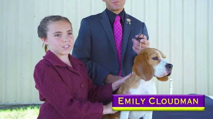 Road to Westminster (RTW): Junior Handler Emily Cl...