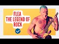 Flea playing bass at home rock...