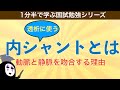 1分半で学ぶ国試勉強シリーズ「血液透析の内シャントとは」仕組みをわかりやすく解説！