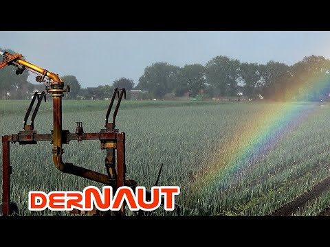 Regenbogenkatapult oder was? | Rainbow catapult | Free to use 4K footage - creative commons
