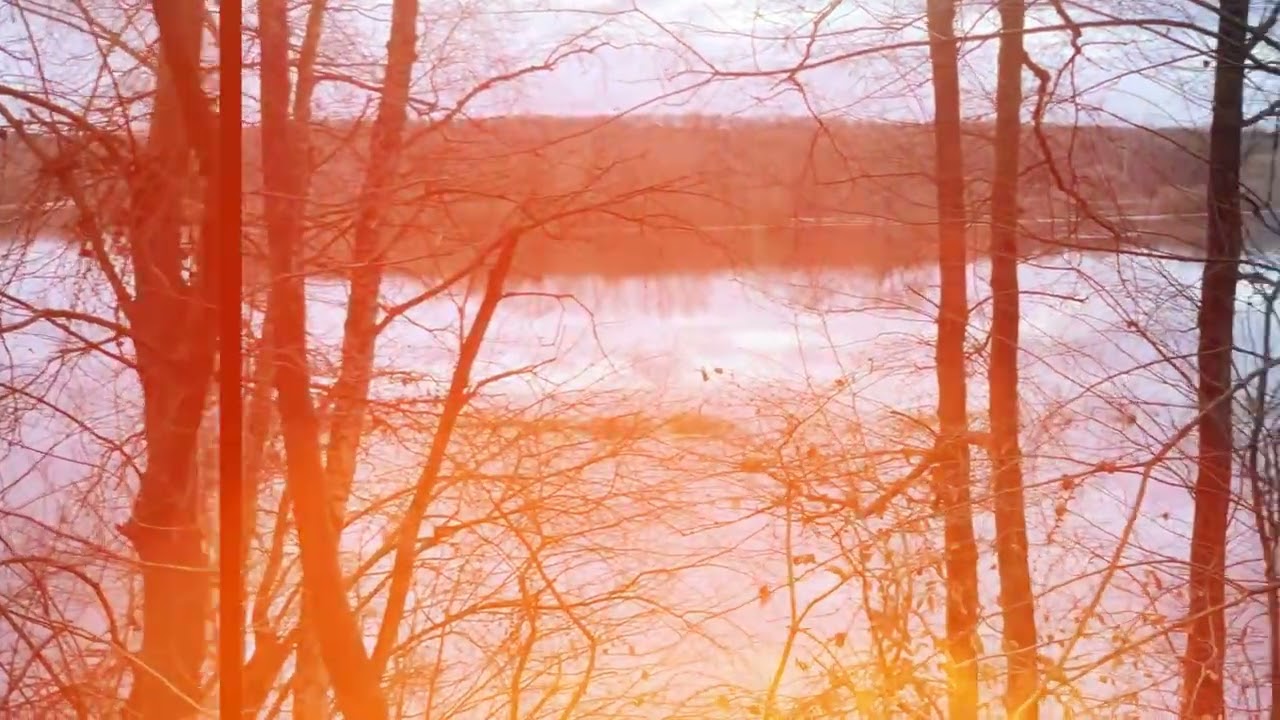 Catastrophic Flooding River Hunte Wildeshausen 2023