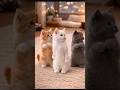 Best trio kitten dancing #relatable #funny #trending #viral #subscribe