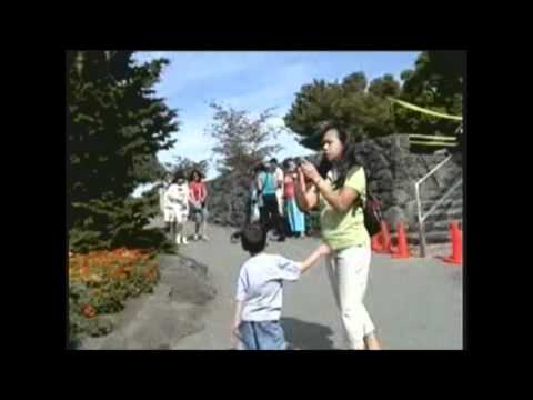 Lao Song  ດອກບົວທອງ  ຮ້ອງ ໂດຍ ທອງສຸກ ວົງພັກດີ
