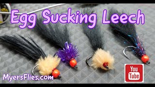 Egg Sucking Leech