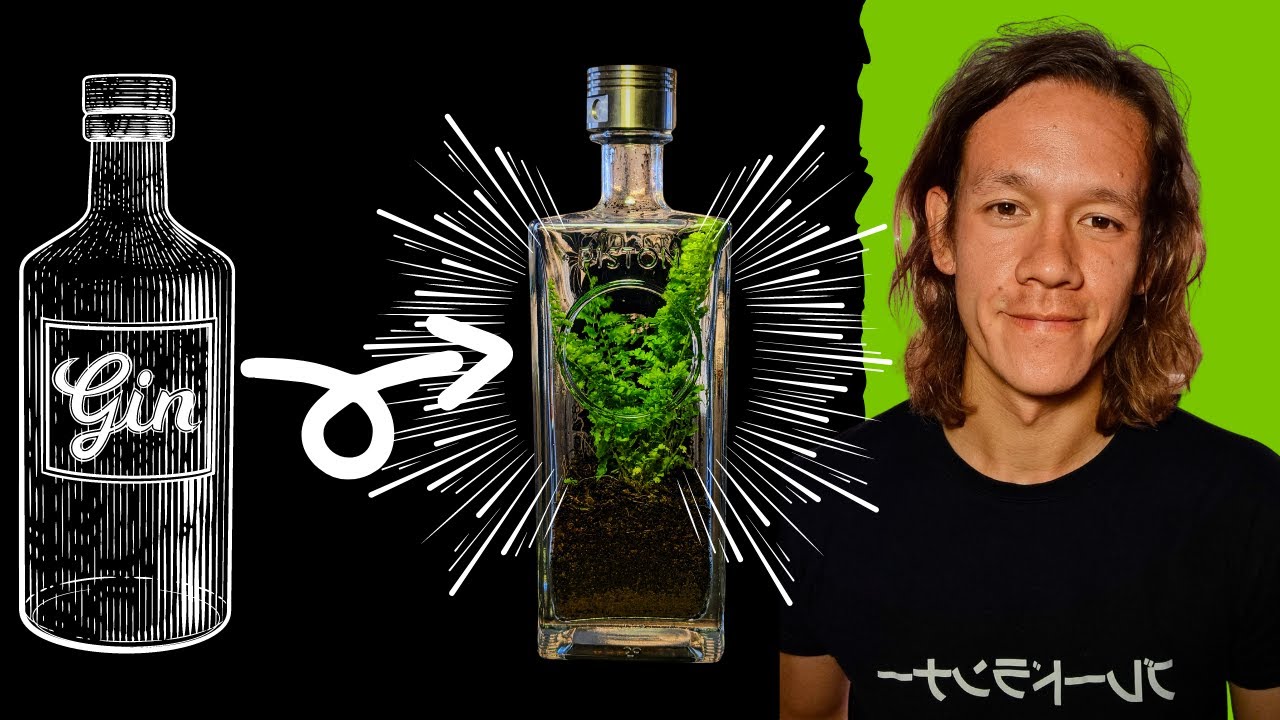 The Easiest Terrarium You’ll Ever Make Gin Bottle Terrarium YouTube