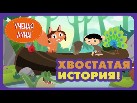 УЧЕНАЯ ЛУНА! (37 серия) (2015) мультсериал