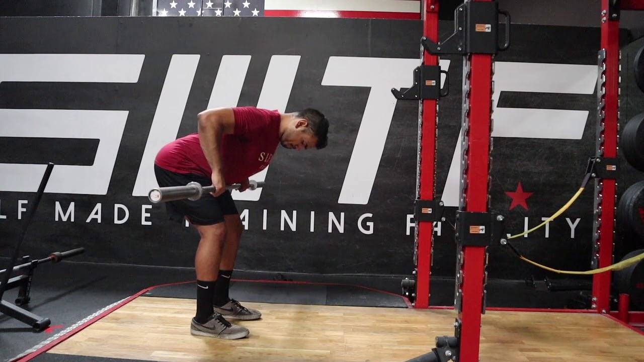 Barbell Bent Over Rows Lats Focus YouTube