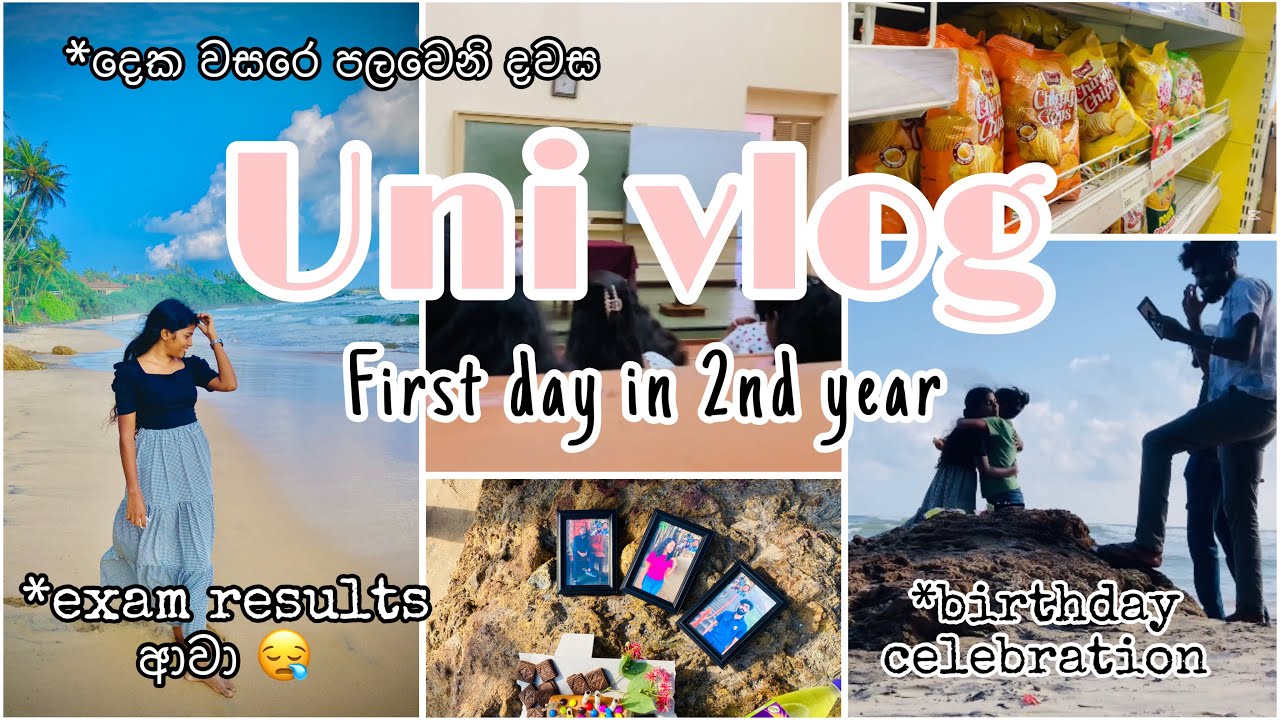 🎓University vlog 🏫|දෙවනි වසර පටන්ගන්නෙම ලෙක්චර්ස් නැතුවද? 😪| Campus Vibes 💕#sinhalavlogs #univlog
