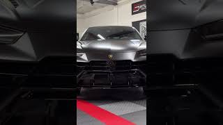 This Lambo is A Wolf in Wolf’s Clothing #lambo #lamborghini #cars